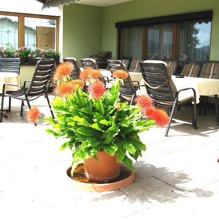 Gaestehaus Steininger Zwiesel Esterno foto