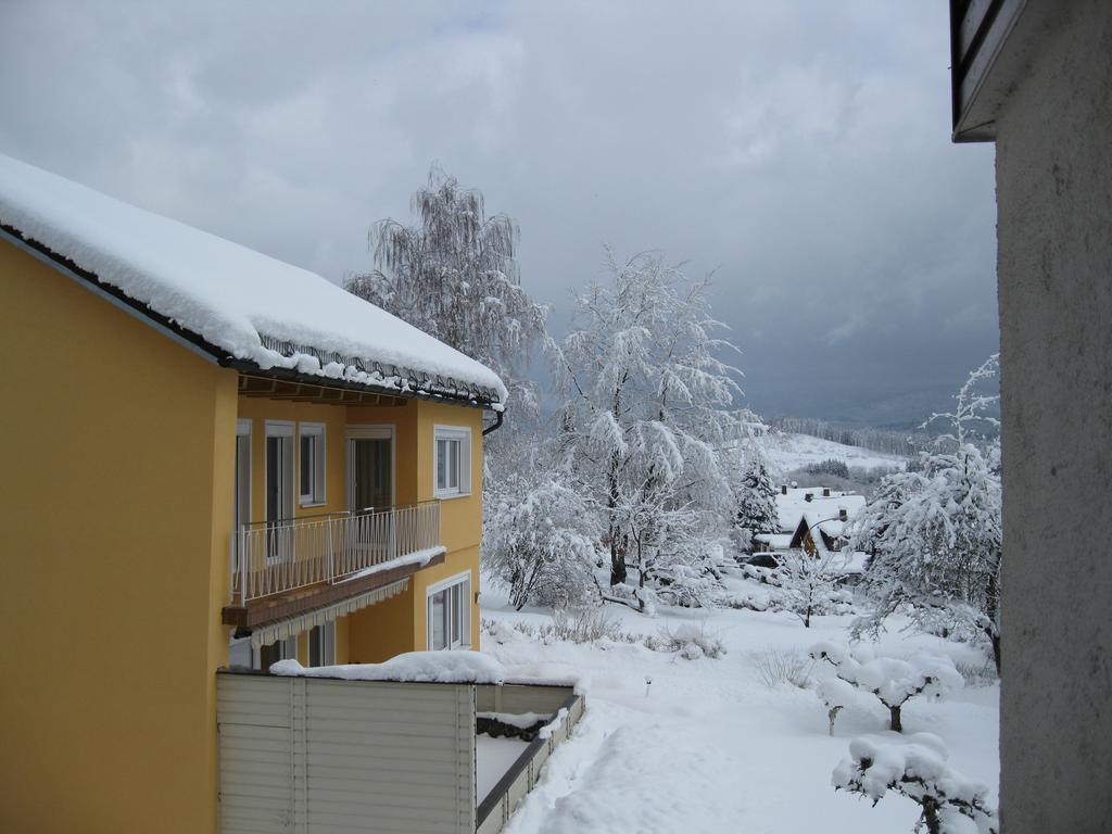 Gaestehaus Steininger Zwiesel Esterno foto