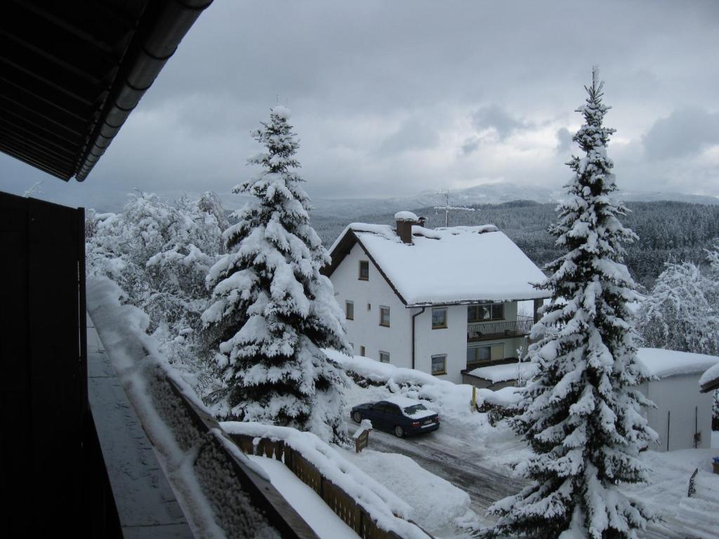 Gaestehaus Steininger Zwiesel Esterno foto