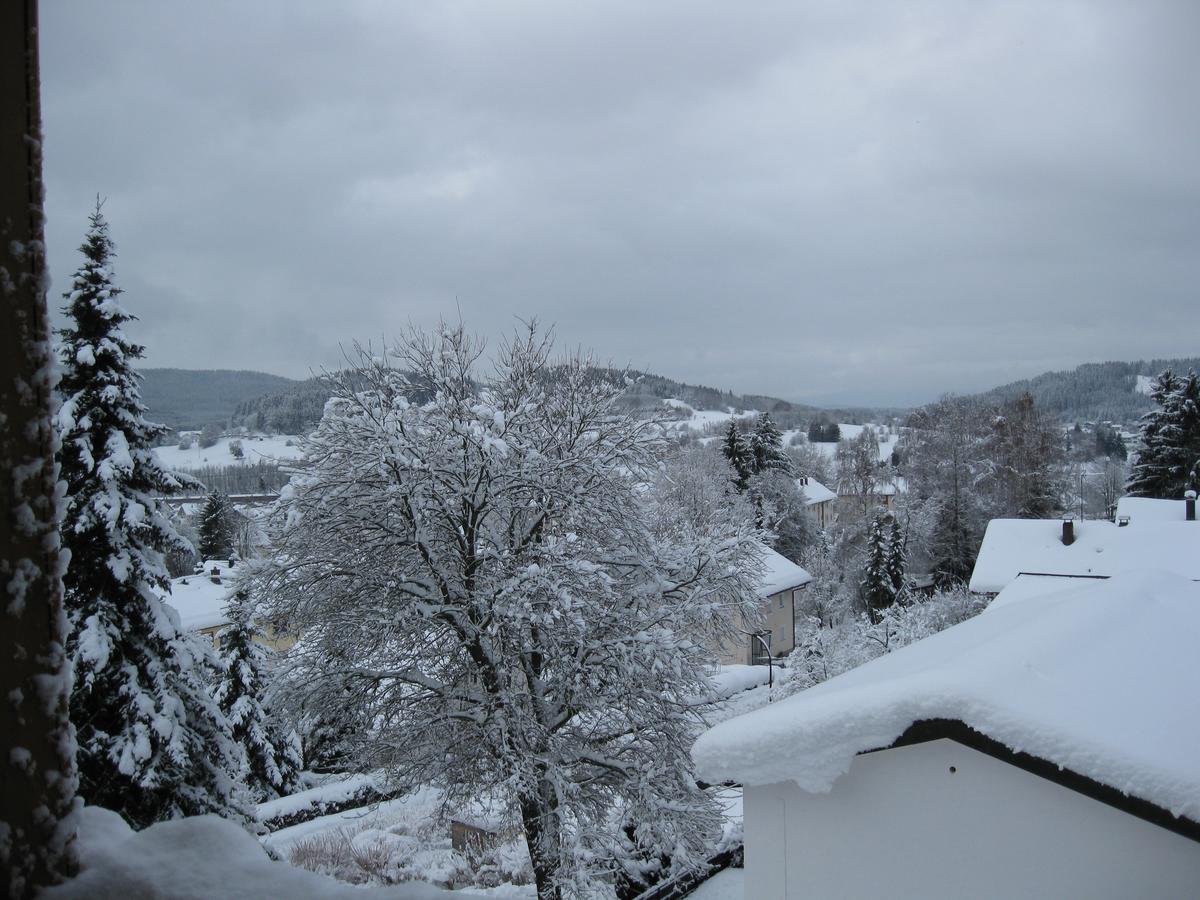 Gaestehaus Steininger Zwiesel Esterno foto