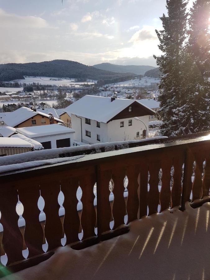 Gaestehaus Steininger Zwiesel Esterno foto