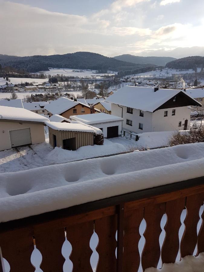 Gaestehaus Steininger Zwiesel Esterno foto